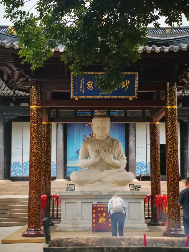 118493cb98c632acd284a3da7d652ec7-sz_3101111