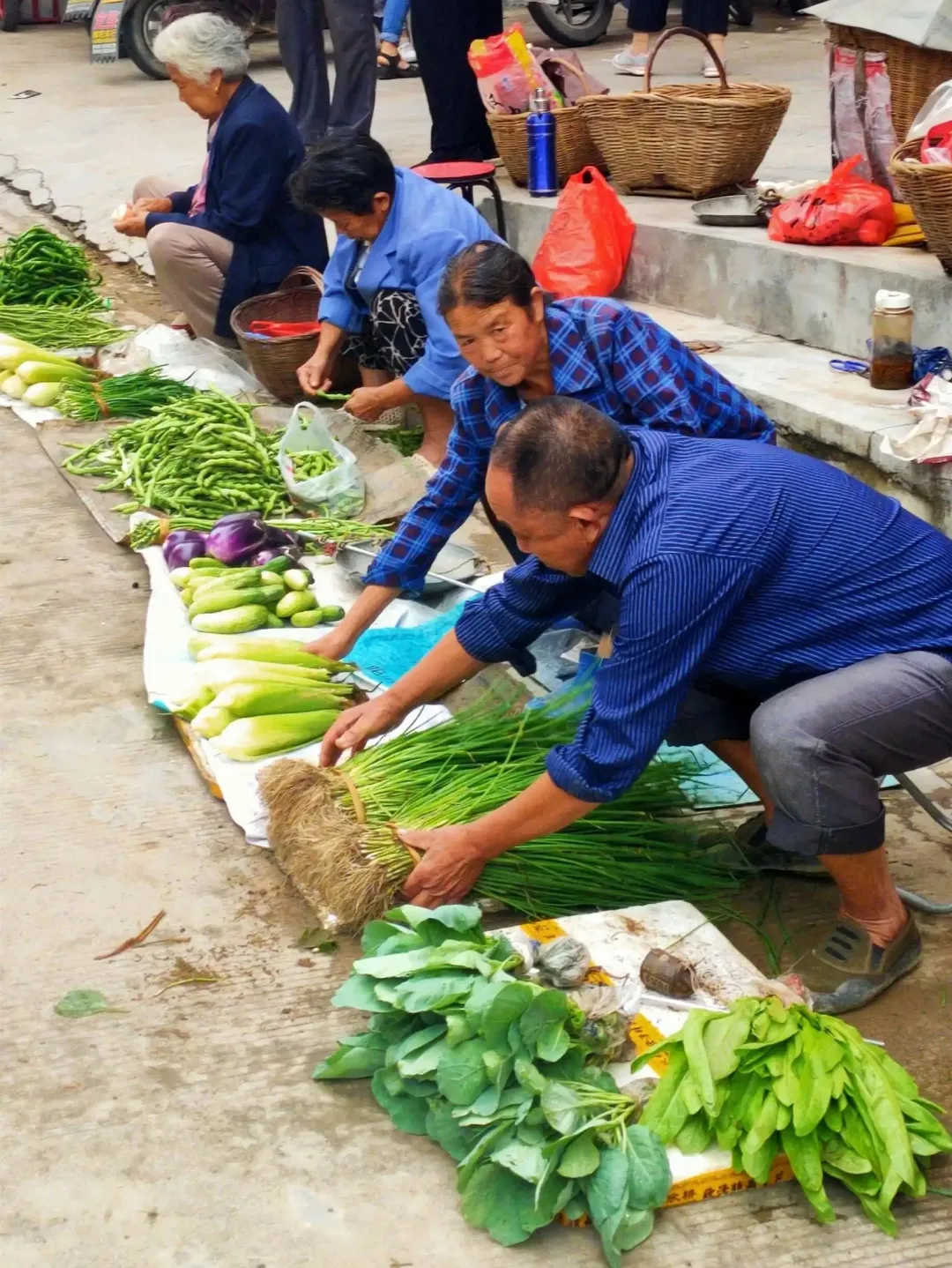 11882e8eda038c110f60ff849202dc08-sz_557788