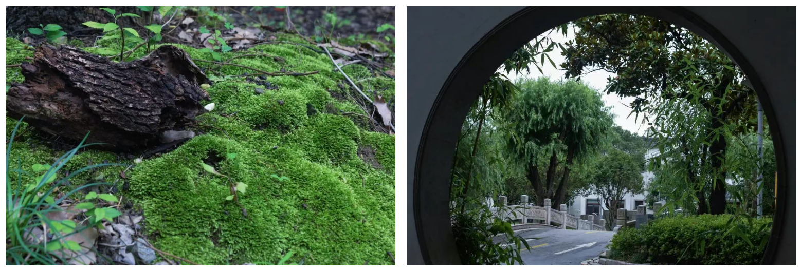 11902d199219d193e0fad1af69d34f59