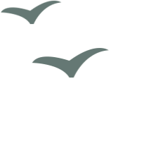 11da492b861584dc86ae525eb769d65a-sz_47882