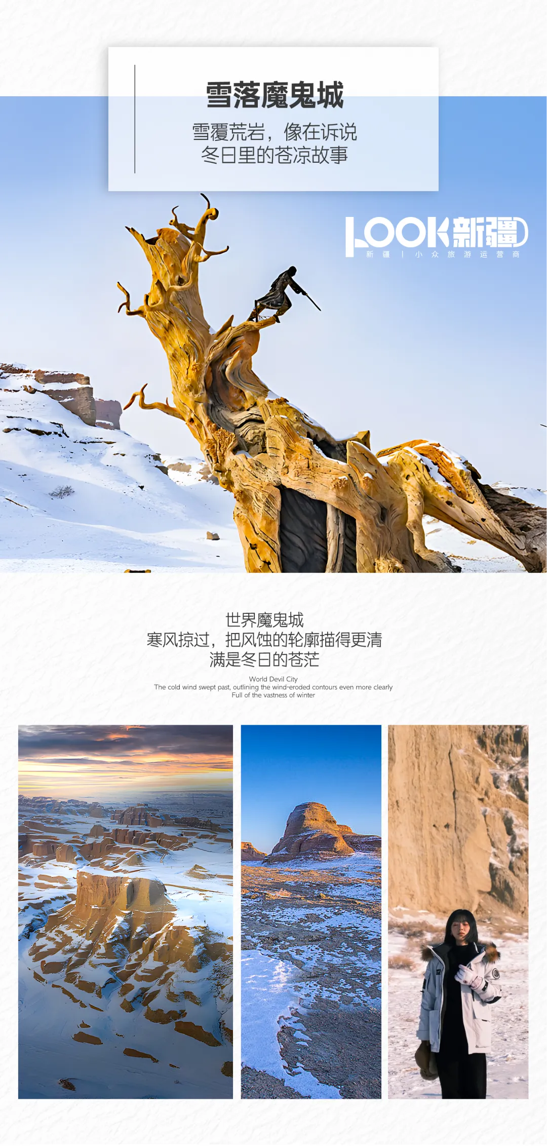 11ff4c3b2c47a86d5900bc97b0b9554f-sz_22978919