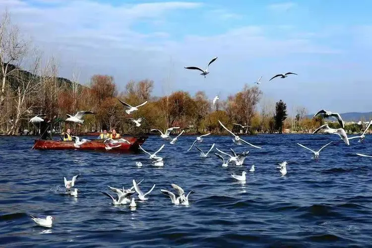 1205cd2304c2120c1560a370e3ceb26b-sz_72677