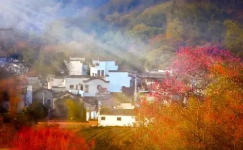 1216b05270bdccff41a6c74549847fdd-sz_423410