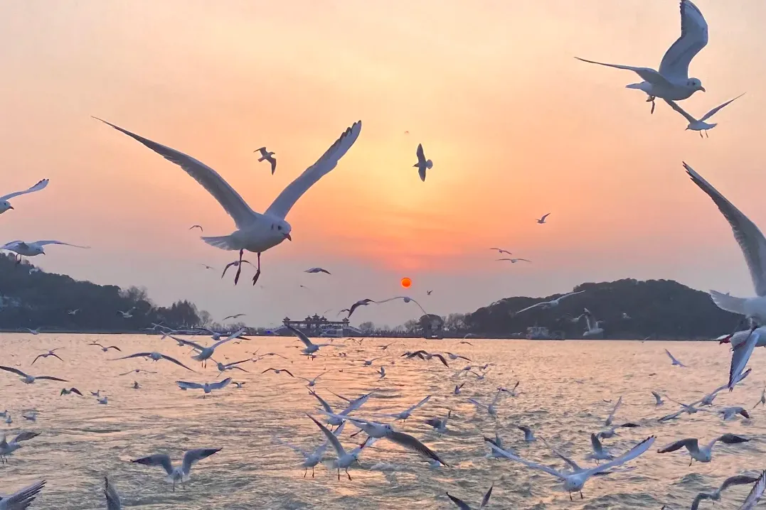 1254499e49b63fcbb006a4a61354d2b5-sz_2744771