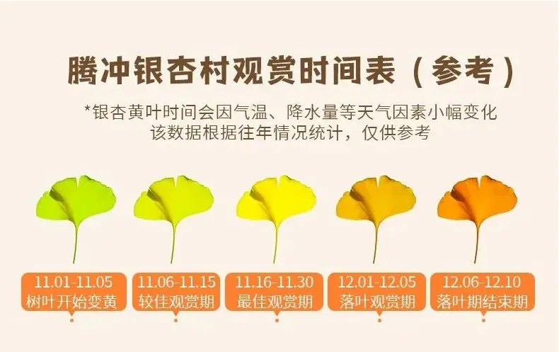 1276ec0165823a8cd5410ea79ad8a200-sz_378258