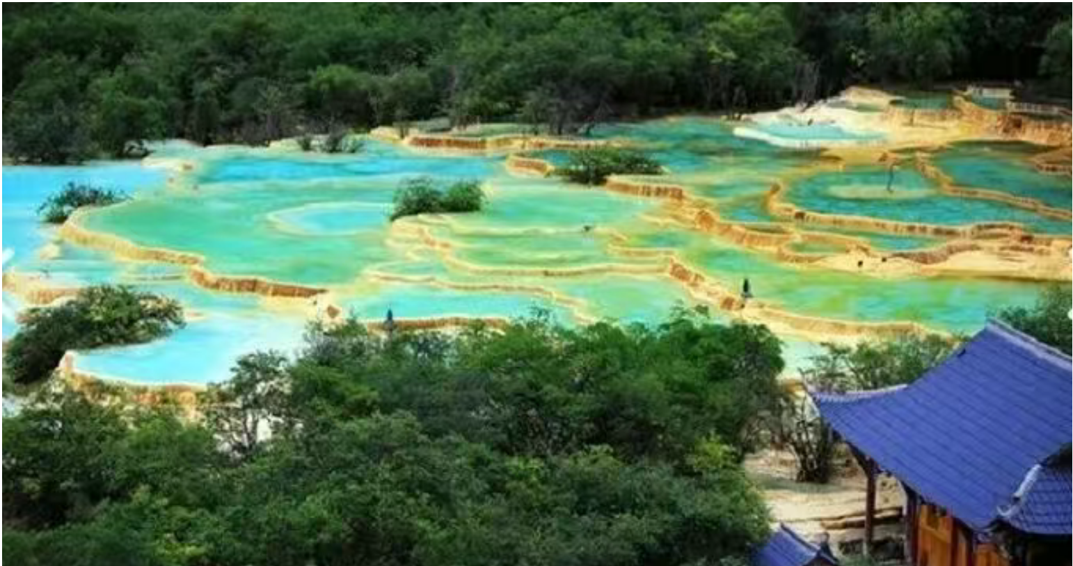 12985dd718d2d20a3a8417d762c3798e