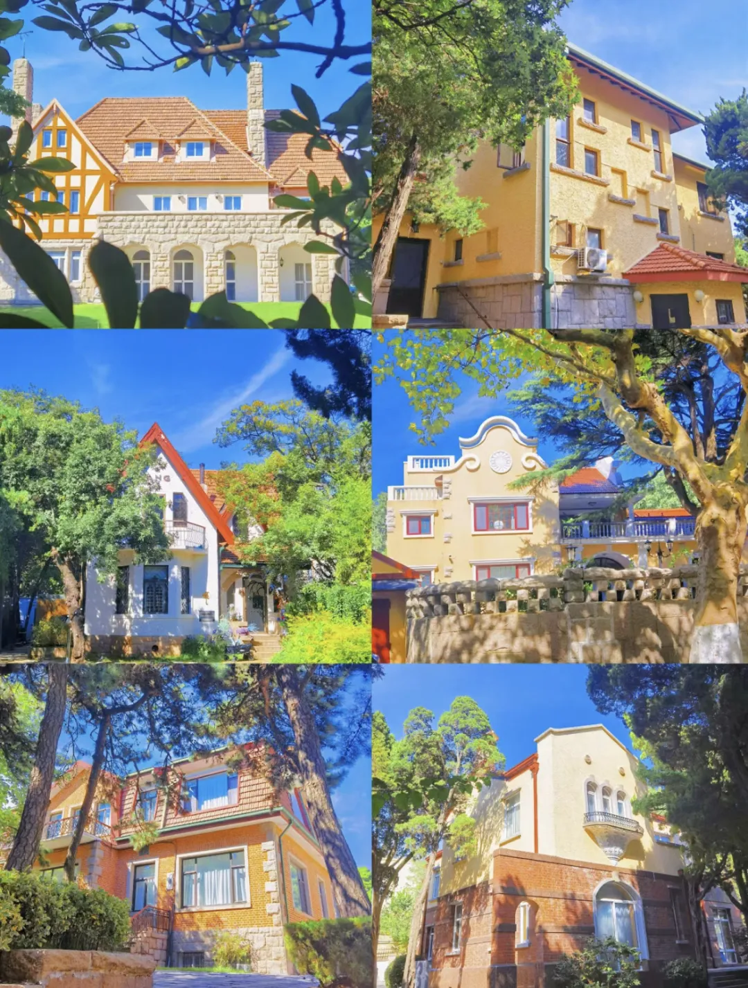 12b3c193dac67a5c16698db963a8cbcc-sz_2571395