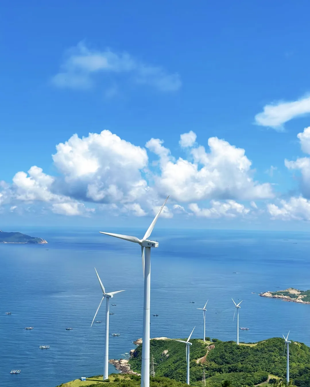 12d3023a74754a6d78d2c8ff89f863a2-sz_946334