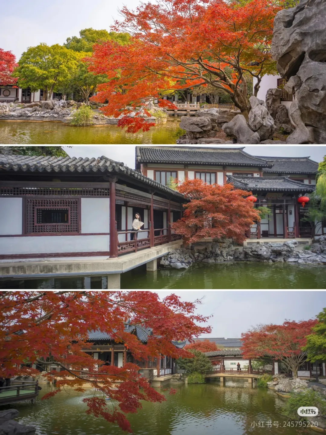 12e34f222a77a288e4141cbe2bb08172-sz_2010637