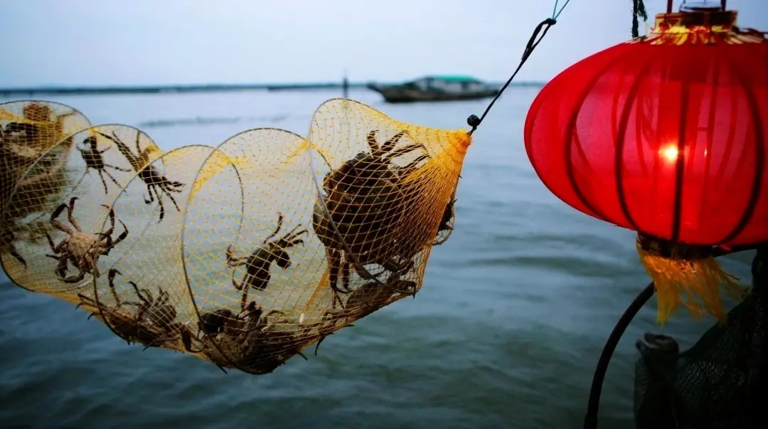 12f3051c070029aaae2e6f1c9244f093-sz_199016