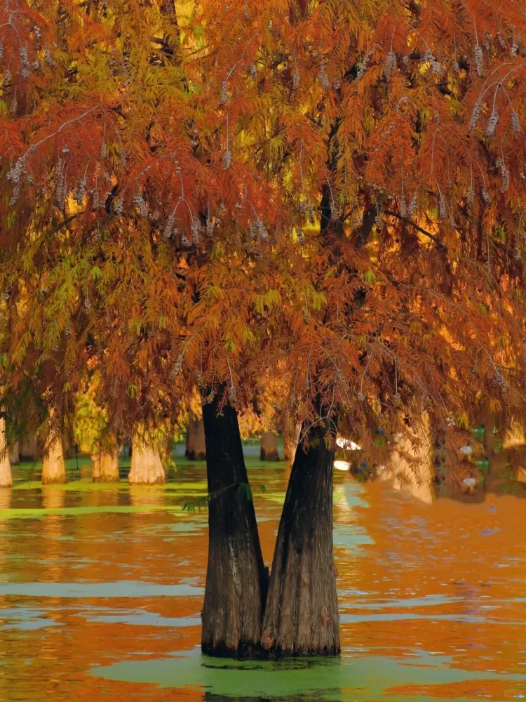 12fb270e94e5800ecd619c9abe63f149-sz_4024613