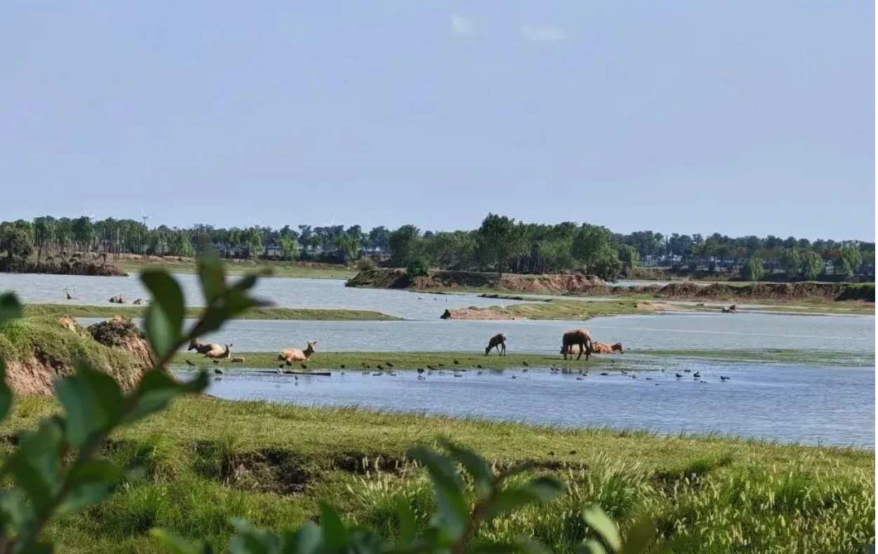 12fd35a0f0d8b32646e3a7e952091d94