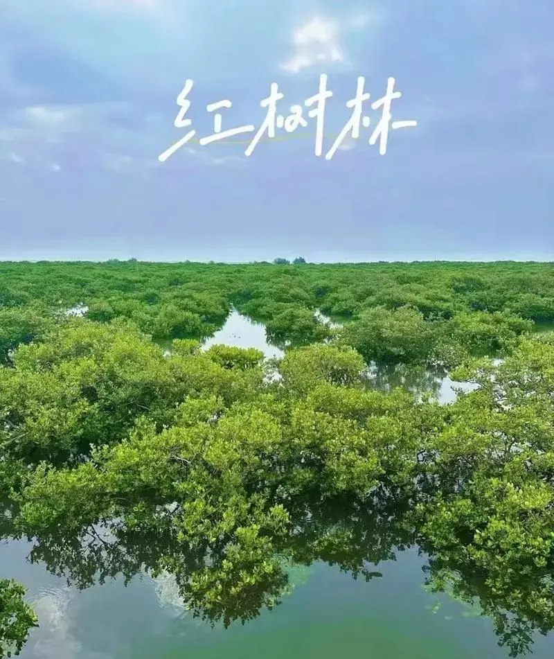 136e7fe063da5ff477254b4bd154d750-sz_146006 136e7fe063da5ff477254b4bd154d750-sz_146006