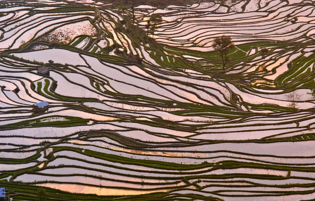 138e75562ec7bcfa8f5584a2364a9e2f-sz_254521-1