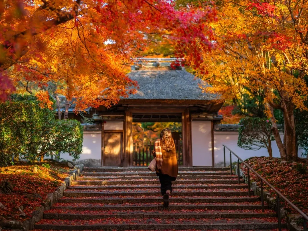 13a65ea46579d5e11d6b8472b0ef4f05-sz_627413 13a65ea46579d5e11d6b8472b0ef4f05-sz_627413