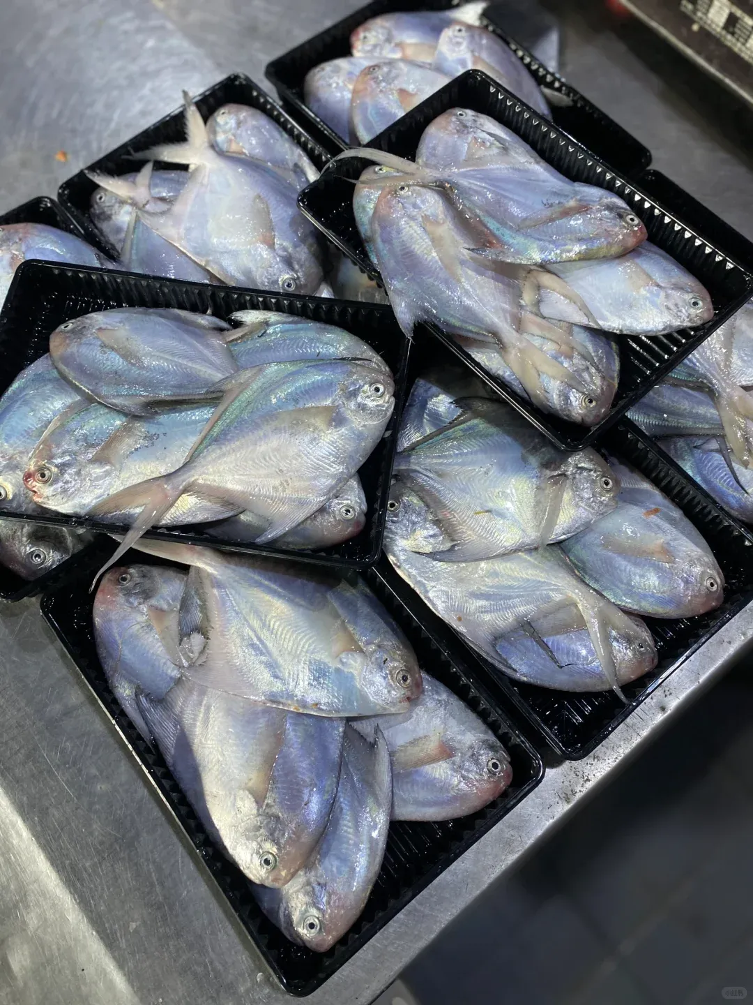 13c6281da1574fb45e2ebf663419da90-sz_3161362 13c6281da1574fb45e2ebf663419da90-sz_3161362