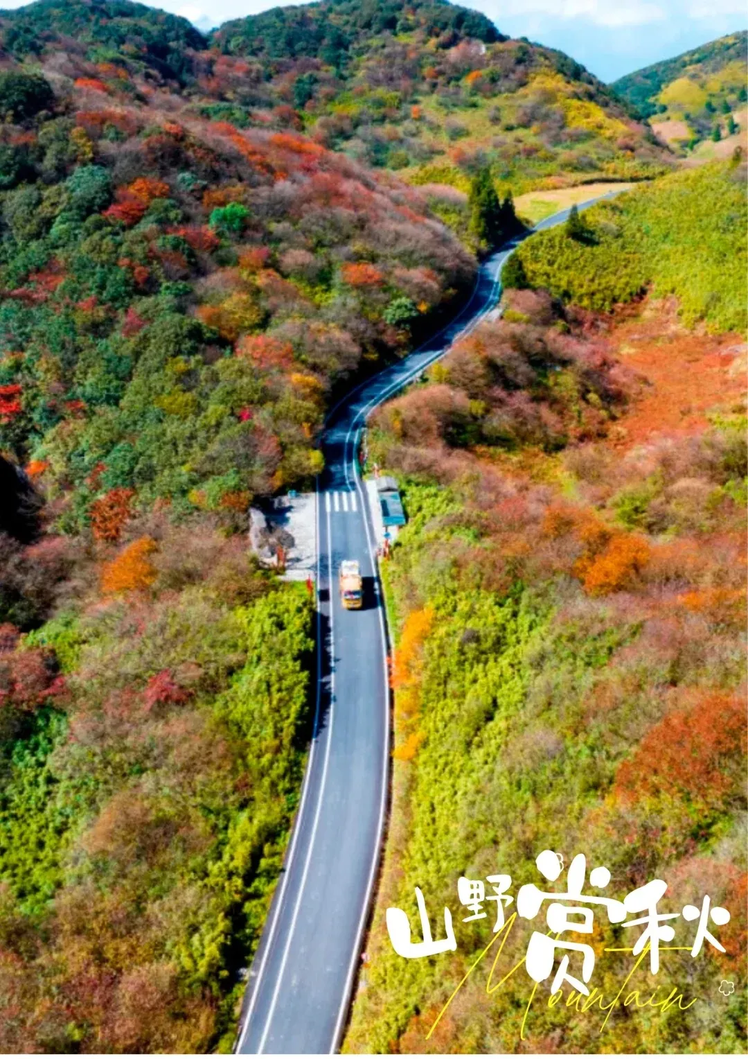 13f60763fccd3add524e0a2c953b69f1-sz_497720