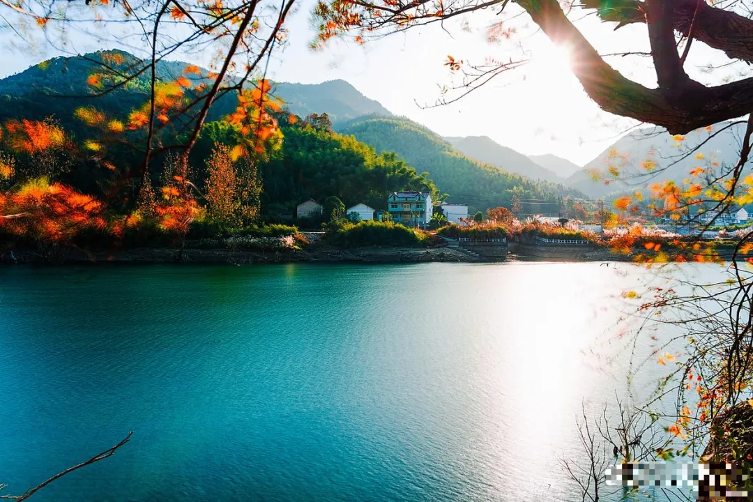 14044ff9fdad040814094bb787a02204-sz_2052451 14044ff9fdad040814094bb787a02204-sz_2052451