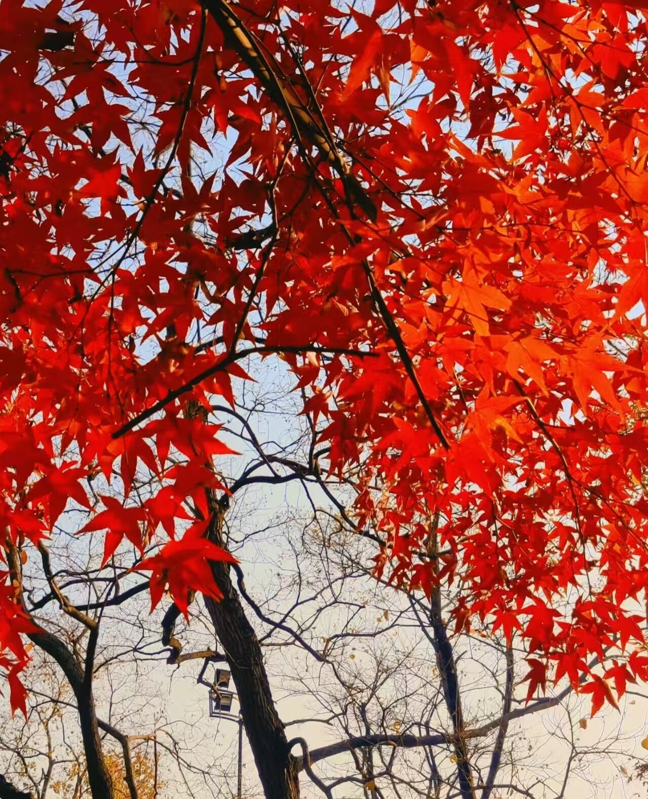 140abc2a83a3f53869b7d18e1bd0b8d1-sz_1642777 140abc2a83a3f53869b7d18e1bd0b8d1-sz_1642777