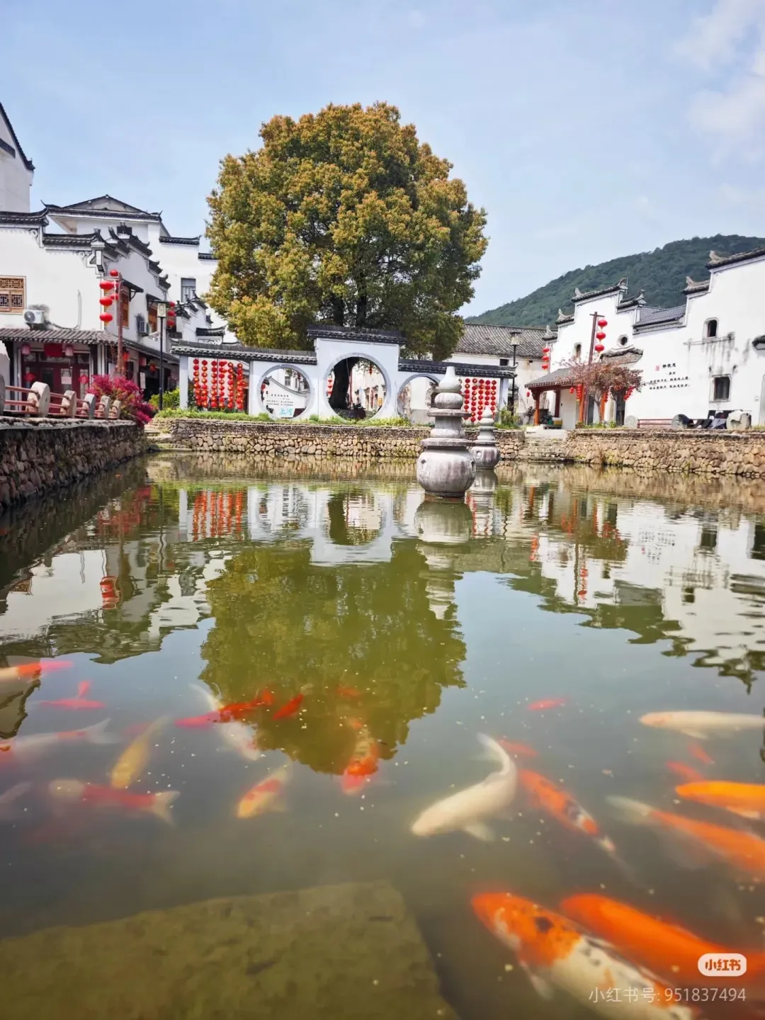 140af531541ad49b0aac87437246fb11-sz_463984