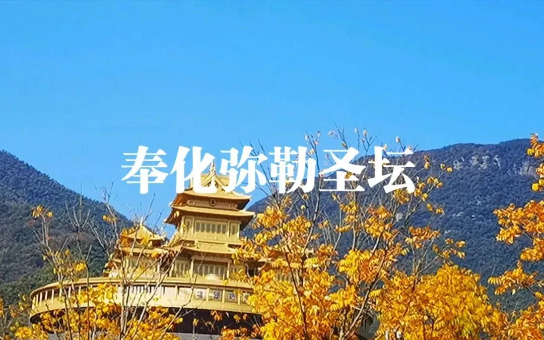 147e71899b4433ae1cde263a78eb7da4-sz_1319648