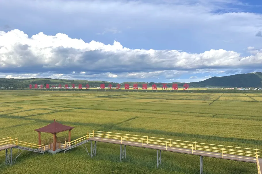 14915711fb6243311725005be70c342a-sz_3177314