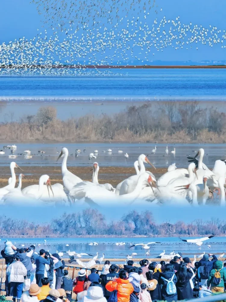 14a74b377c78c72e4b00470933c21a22-sz_2965782