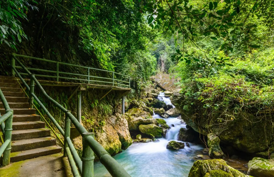 14d5ac4114322860a5eb34758f181999-sz_1785446 14d5ac4114322860a5eb34758f181999-sz_1785446