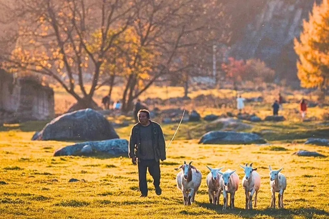 1505b0f536ee0448a18a6f5b7a9a60c8-sz_392600