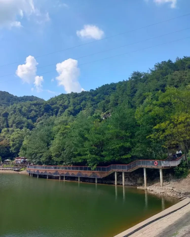 154b6d121cc657d7fe99f8c2a0adfdb9-sz_287418