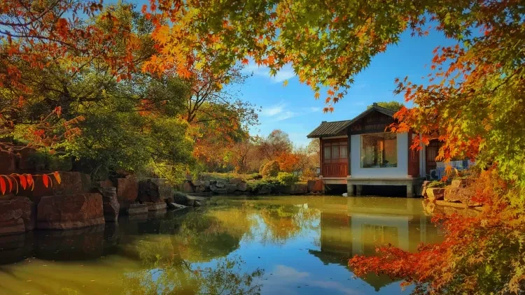 1555c8b3ed70827c9de701ecaa41c66e-sz_2327753