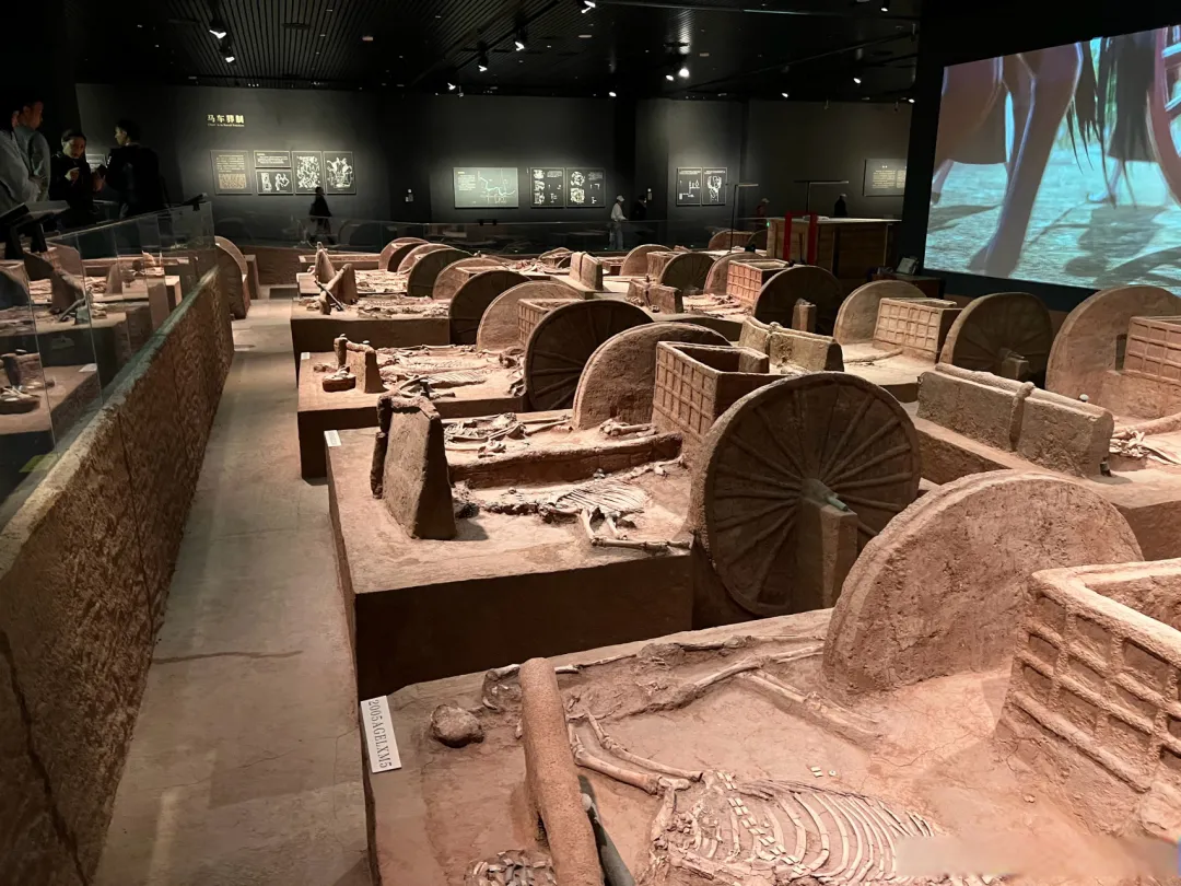 155f33e2a5467adb9c57a041e701c711-sz_981831