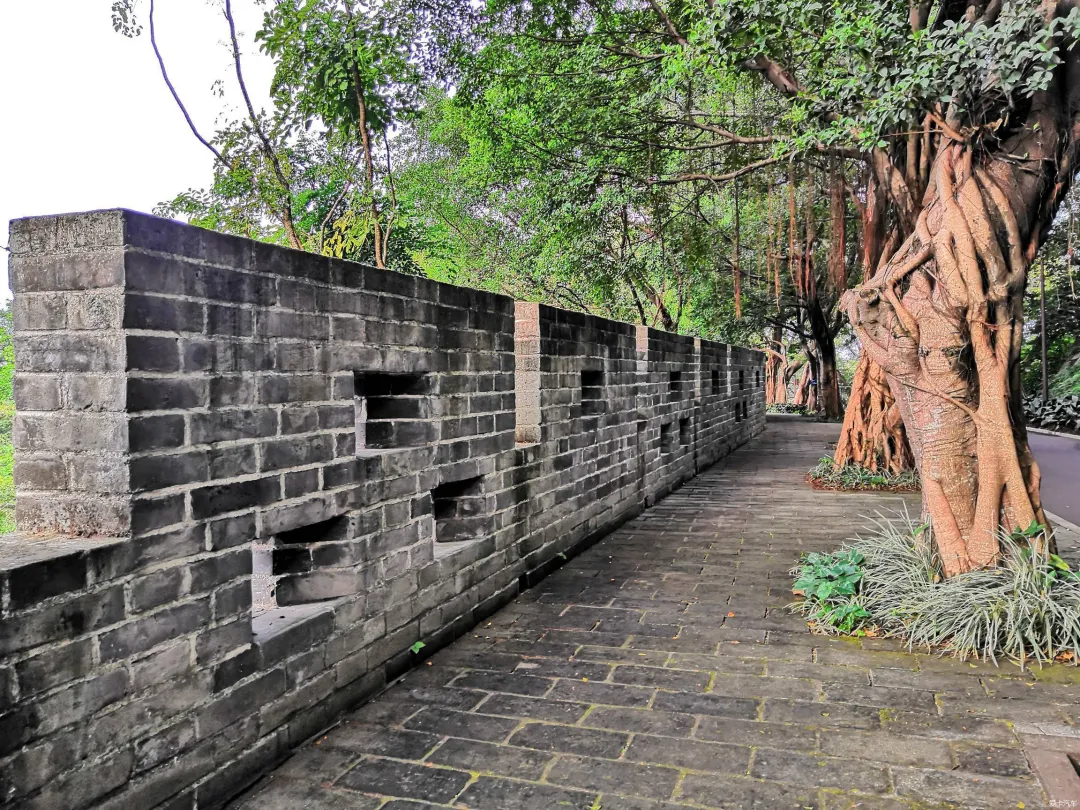 15852a1678b7cfd1ee61c0c2f4d047e6-sz_10067200 15852a1678b7cfd1ee61c0c2f4d047e6-sz_10067200