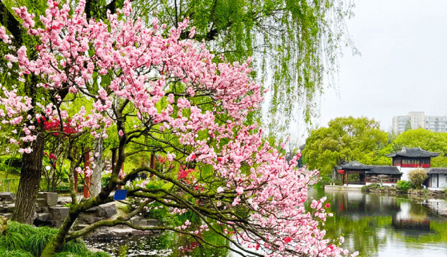 165922c4c2552ed6c676550285803819-sz_496352