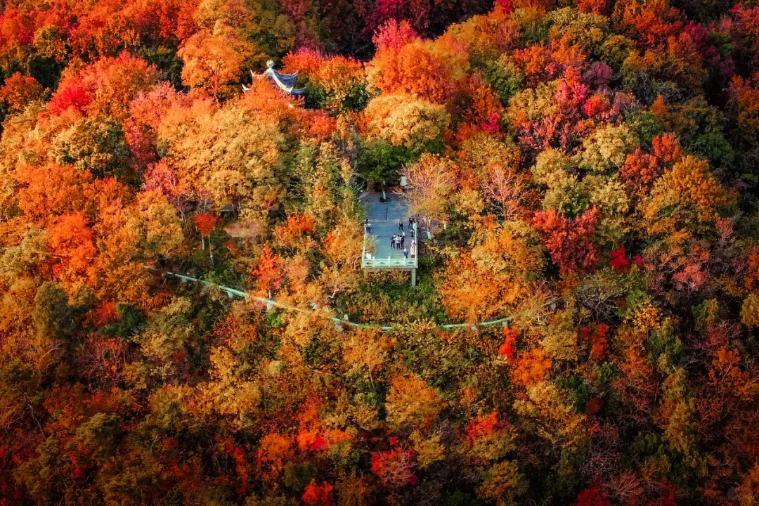 169783de391706aec5587553c18fc513-sz_2701674 169783de391706aec5587553c18fc513-sz_2701674