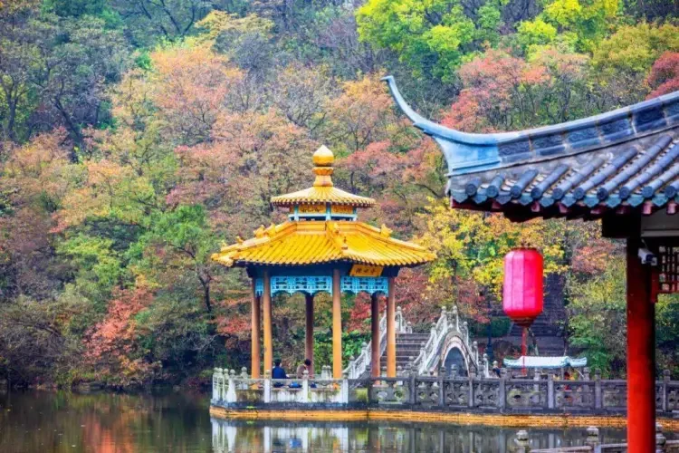 16af107d5ec55429037b578f556c2179-sz_197684 16af107d5ec55429037b578f556c2179-sz_197684