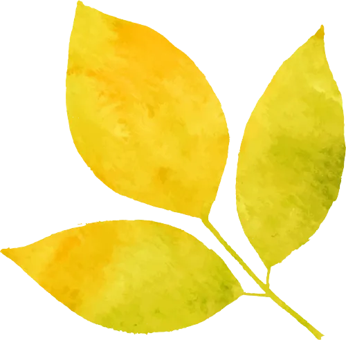 16bee8b7123ca85c1dbde41678941fbb_sz-153375