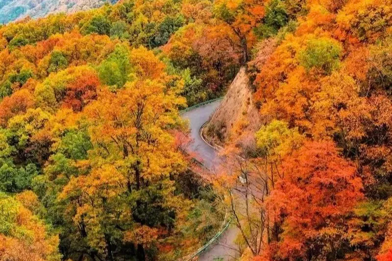 16cbe090be1583ab432311d0382c99e4-sz_2313489