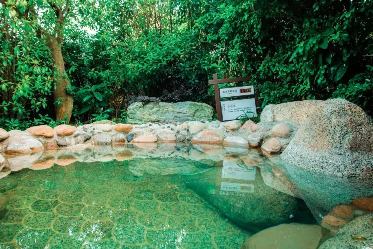 16e30567a025c6c27dce185ea24445f8-sz_3185209