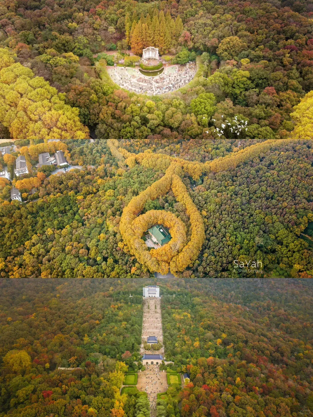 16e4b734c82978830d7c21f109cc01ed-sz_3321037 16e4b734c82978830d7c21f109cc01ed-sz_3321037