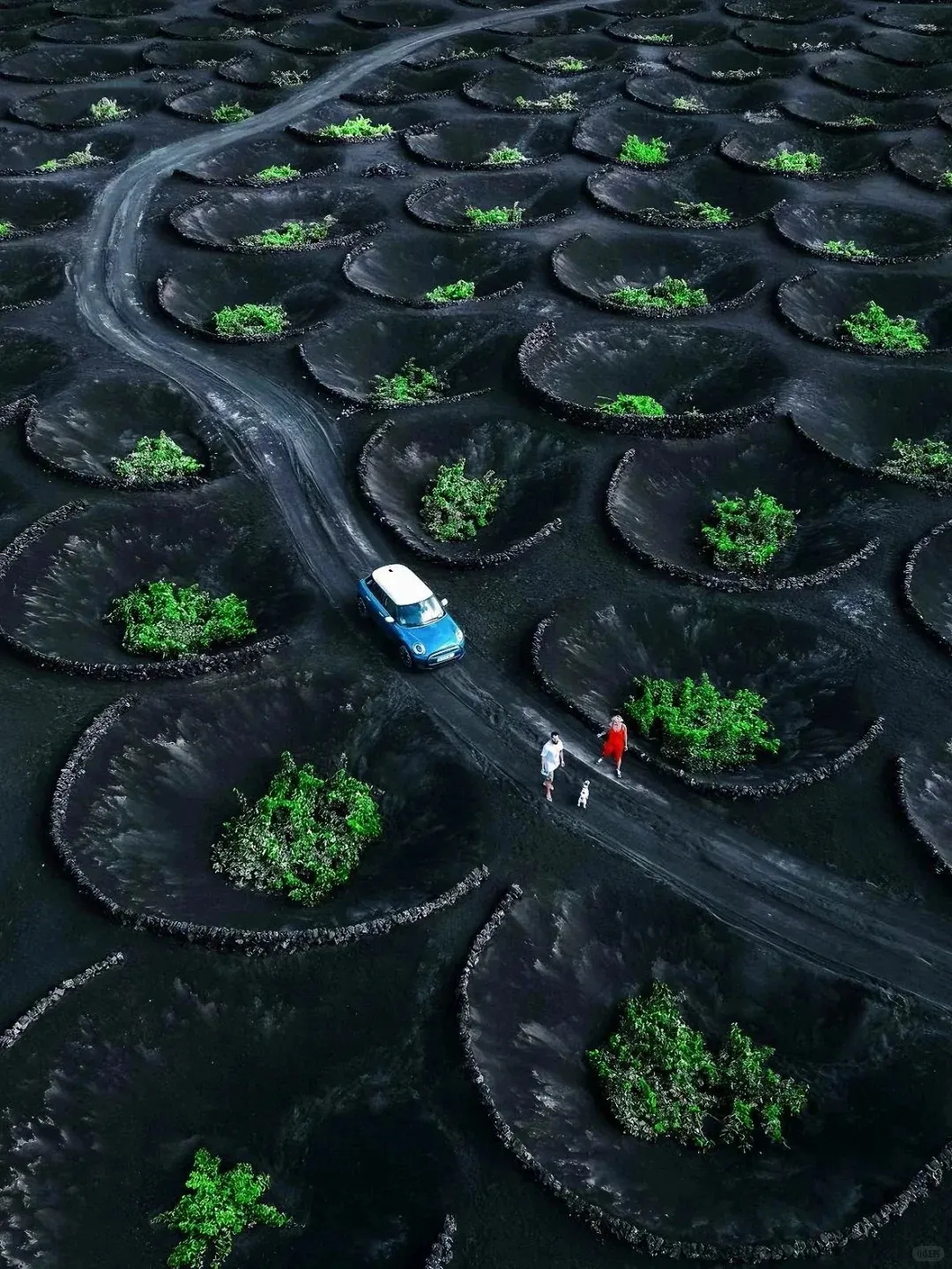 16fd0bcb25cfd61bb8238046a9d197cb-sz_495165