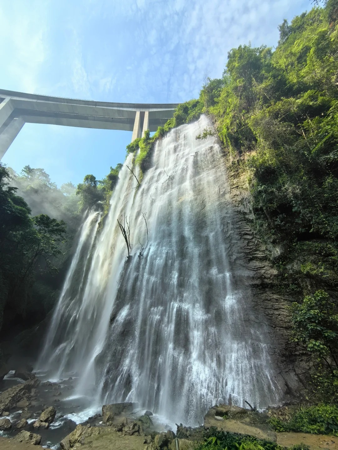 1758265691688_20Dny5Sp