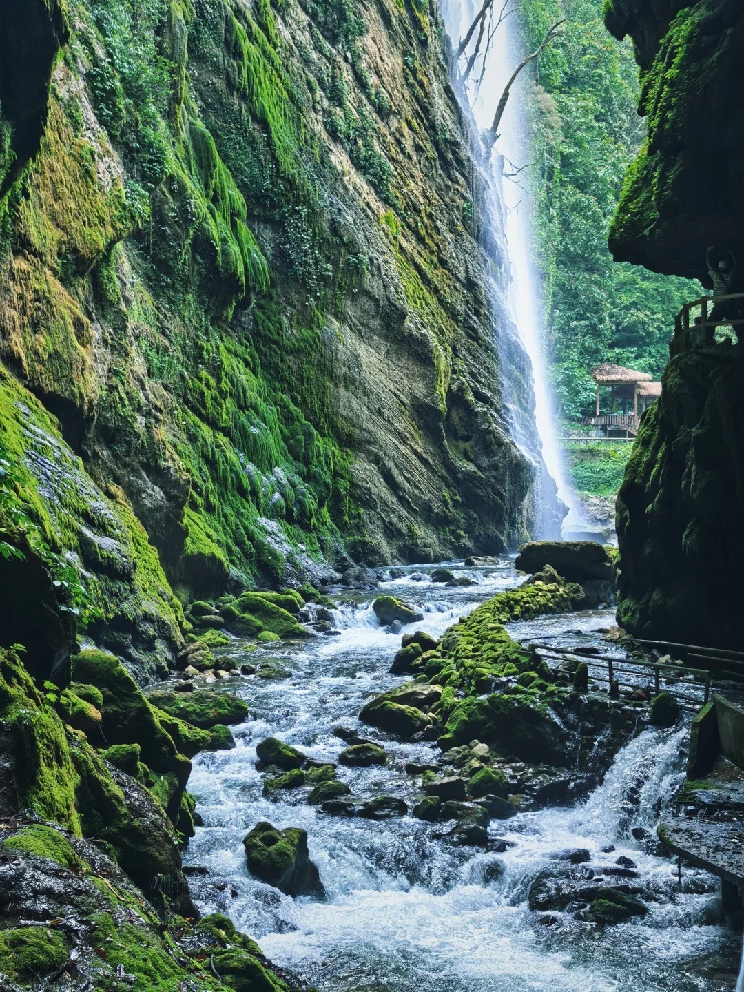 1758265691688_22NG45kB