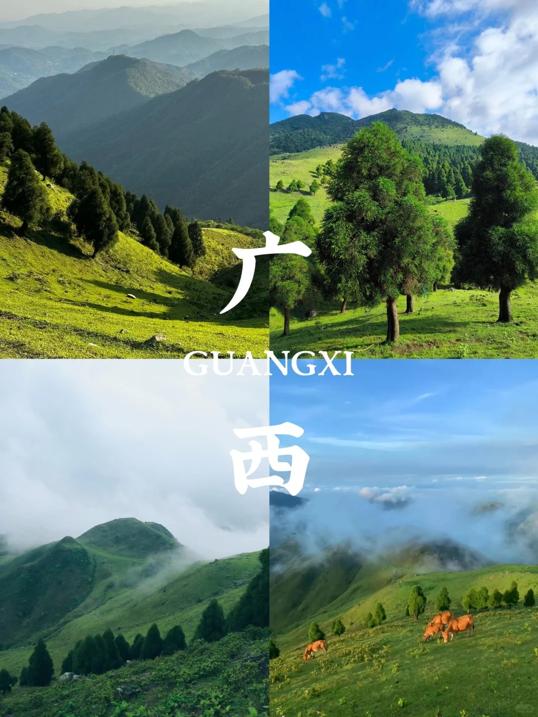 1758265691693_13R3CdEb