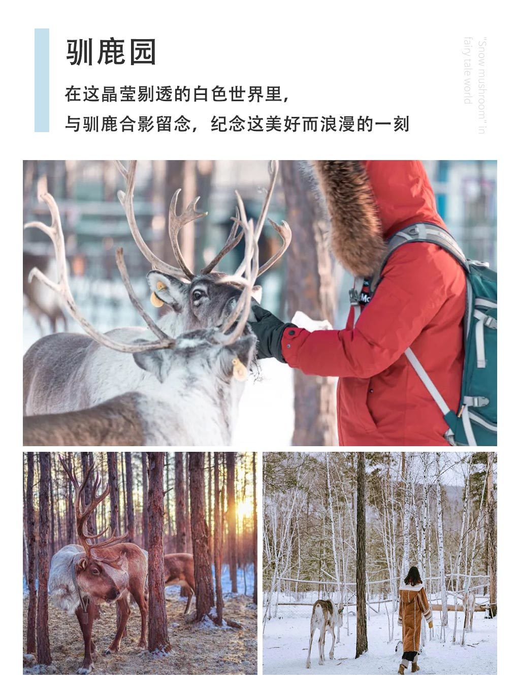 1760318229242_34KHWiKt