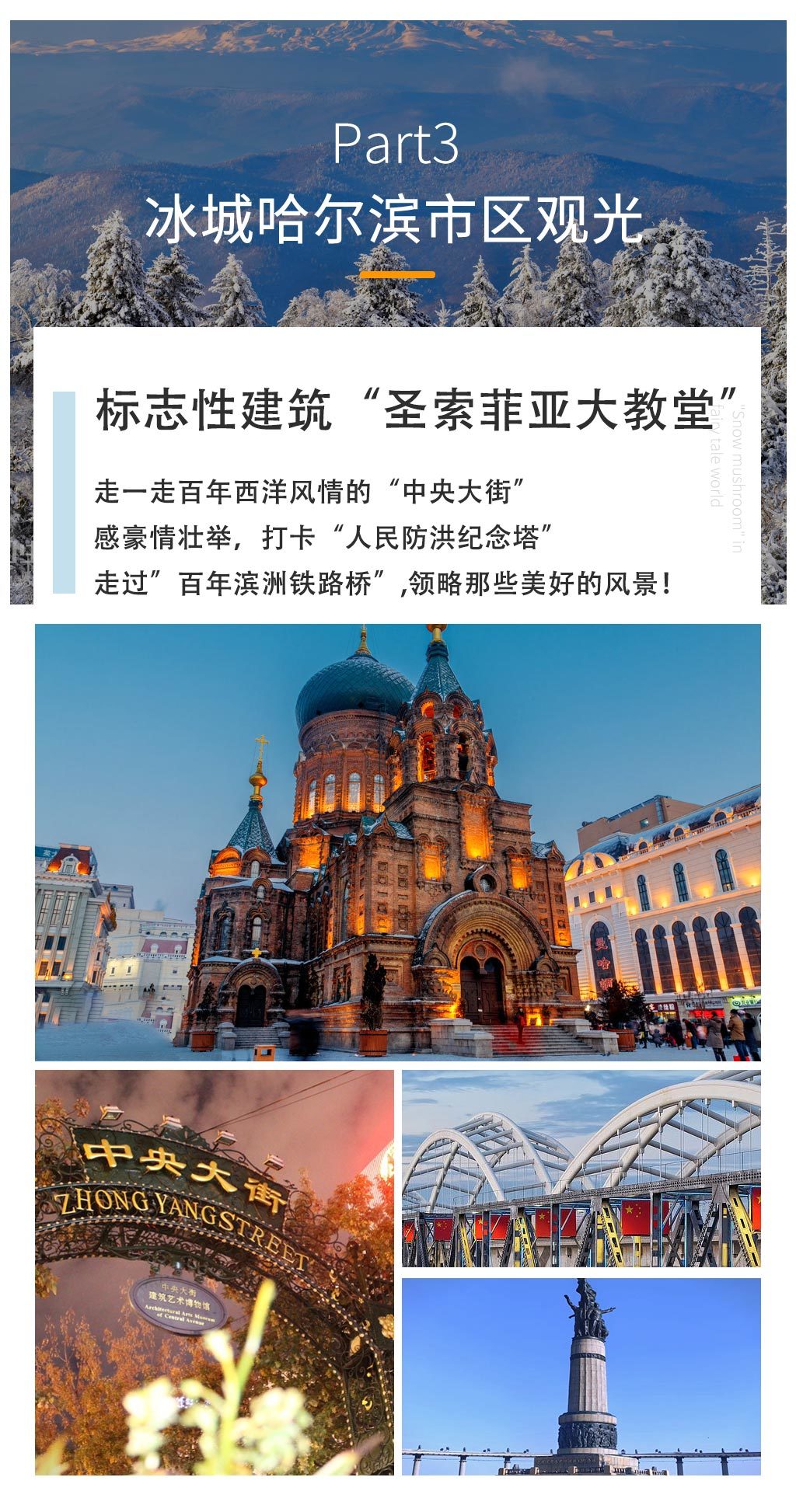 1760318229242_35j4JjdA