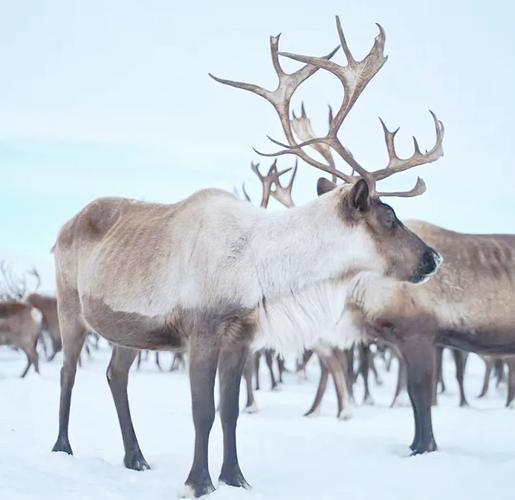 1760318229245_1775XnZs