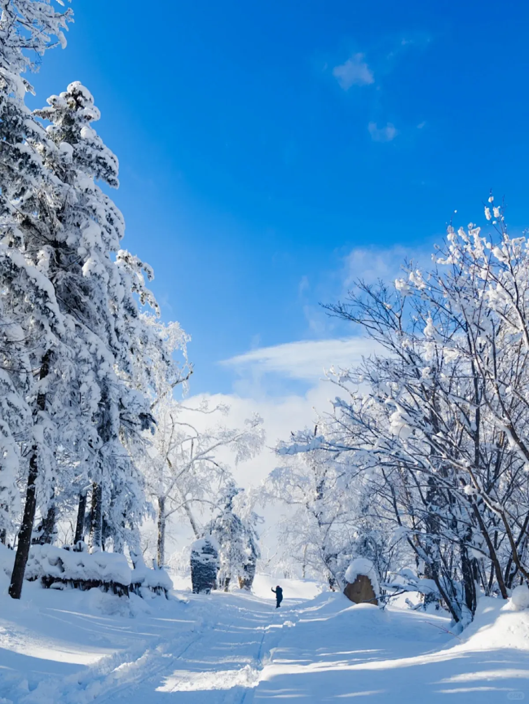 1760583451057_49y2dh2k