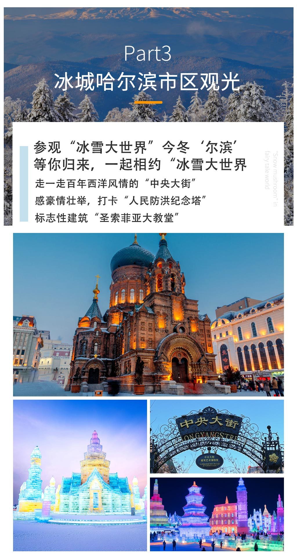 1760583451062_45sf8YzW