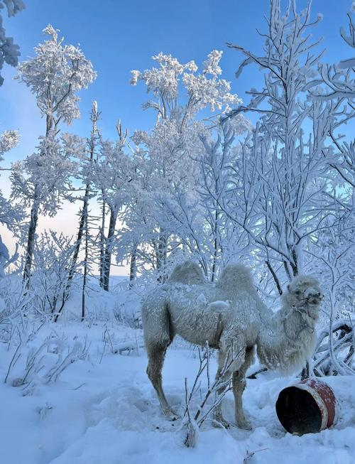 1760583451071_19byQeAQ